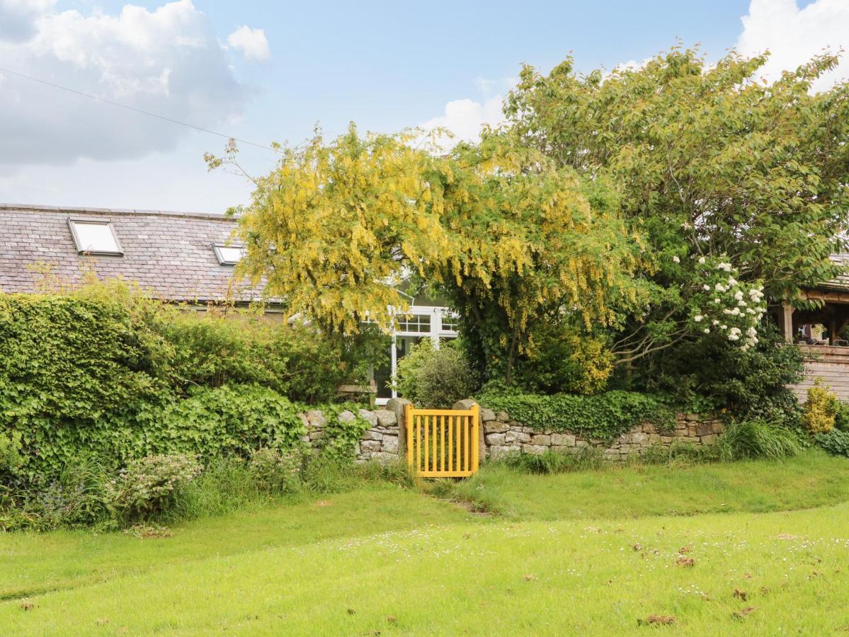 The Cottage, 5 Richley Terrace Newcastle upon Tyne Ngoại thất bức ảnh